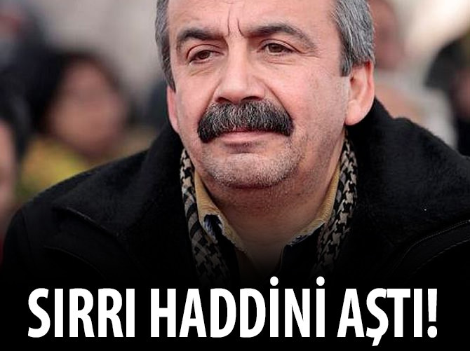 Sırrı Süreyya Önder iyice haddini aştı!