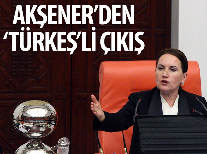 Meral Akşener’den ‘Türkeş’li çıkış
