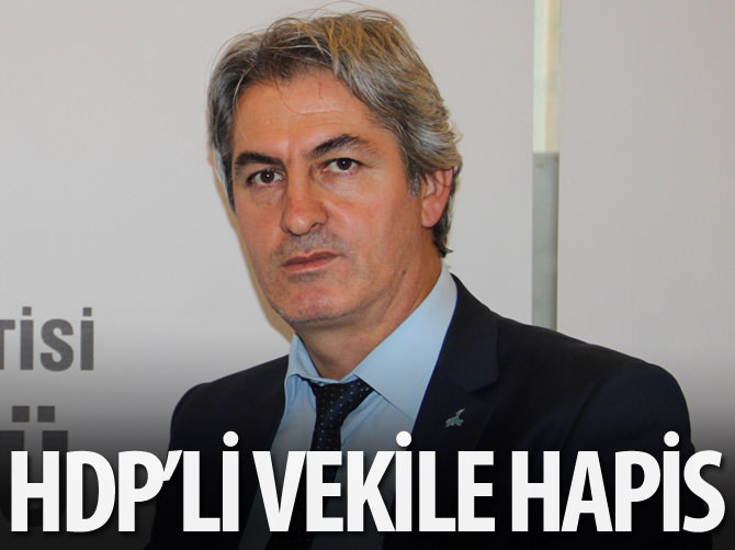 HDP'li vekile hapis cezası