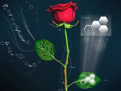 Dünyanın ilk elektronik gülü