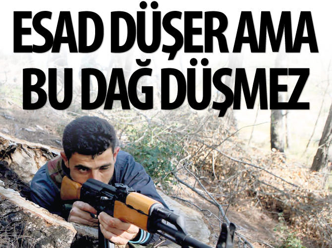 "Esad düşer ama bu dağ düşmez"