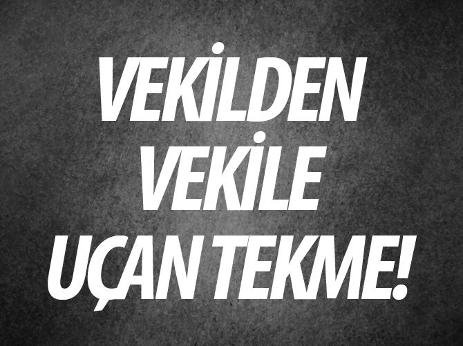 Milletvekiline uçan tekme!