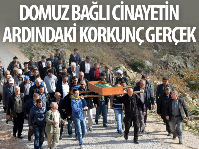 Domuz bağlı cinayetin ardındaki korkunç gerçek