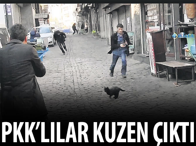Teröristler kuzen çıktı
