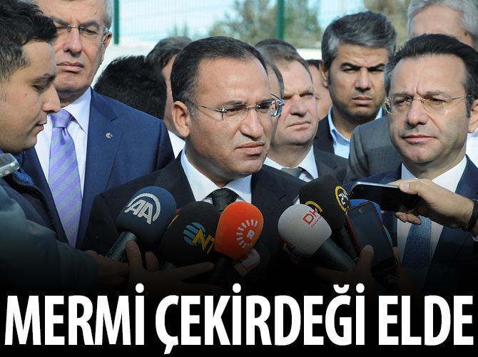 Çekirdek elde