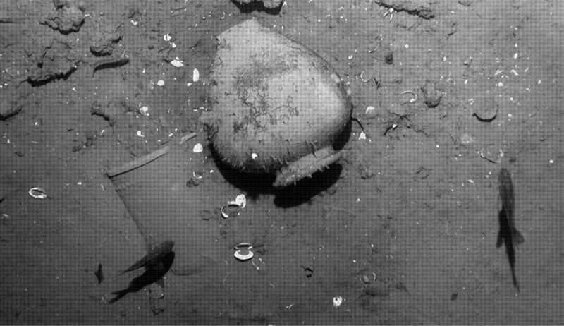 Kolombiya’da batık hazine gemisi bulundu