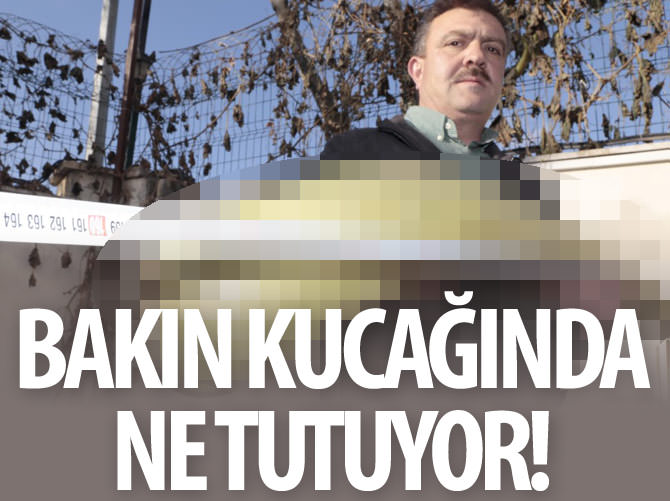 "İnsan boyunda" kabak yetiştirdi