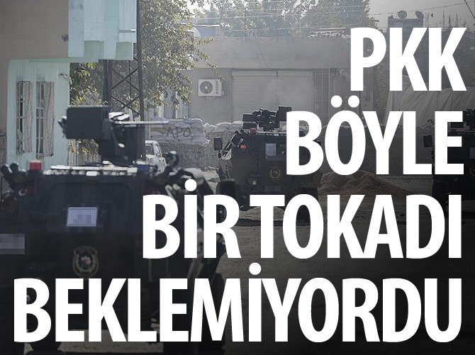 PKK'nın hayalleri suya düştü! Kurtarılmış bölge planına ağır darbe