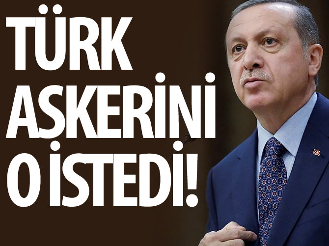 Erdoğan: Türk askerini İbadi istedi