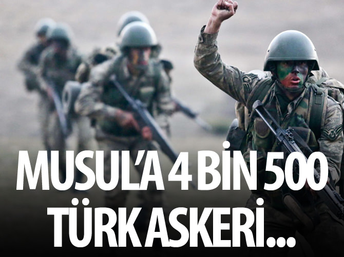 'Irak'ta daha fazla Türk askerine ihtiyaç var'