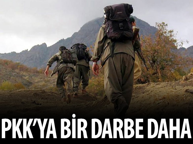Bingöl'de PKK'ya ağır darbe