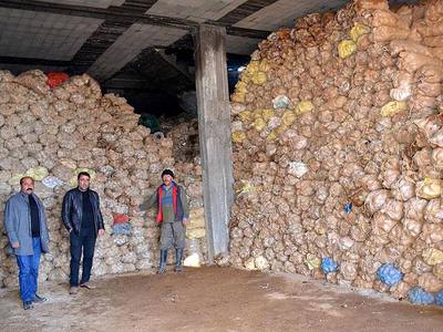 Terör yüzünden tonlarca patates depoda kaldı