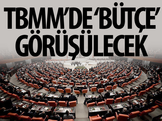 TBMM Genel Kurulu'nda bu hafta 'geçici bütçe' görüşülecek