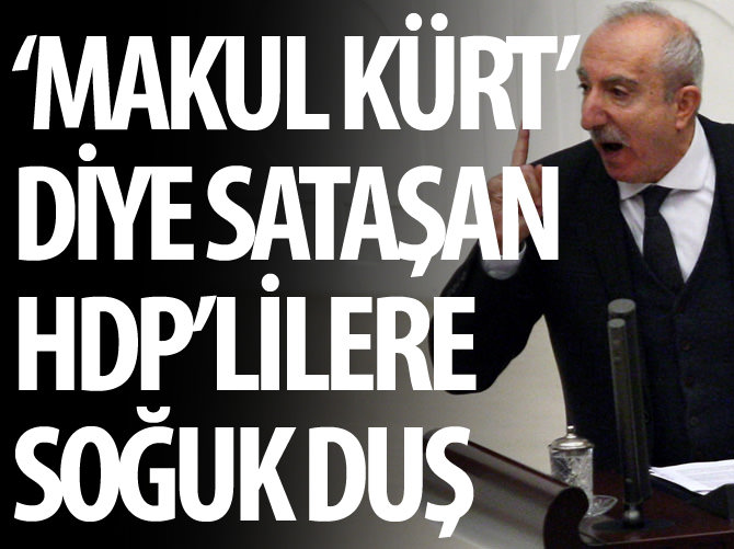 'Makul Kürt' diye sataşan HDP'lilere soğuk duş