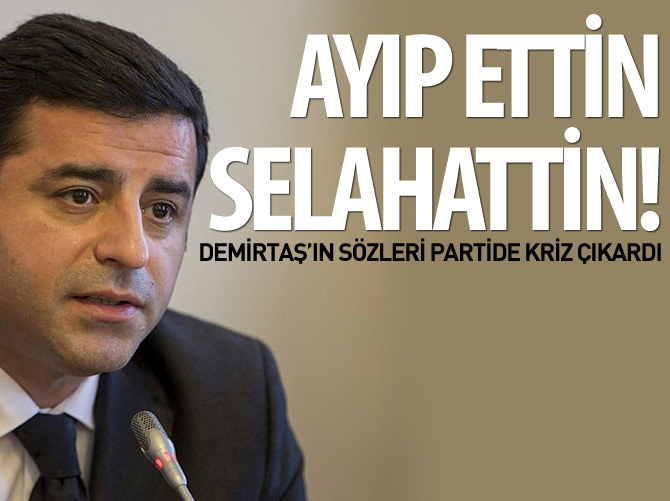 Demirtaş'ın sözleri partide kriz çıkardı