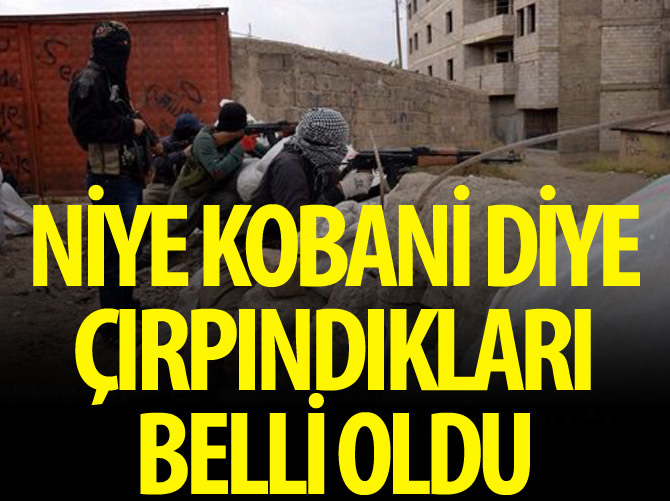Mehmet Metiner: Teröristler Kobani’de eğitildi