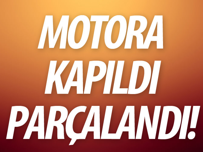 Uçak motoruna kapılarak parçalandı!
