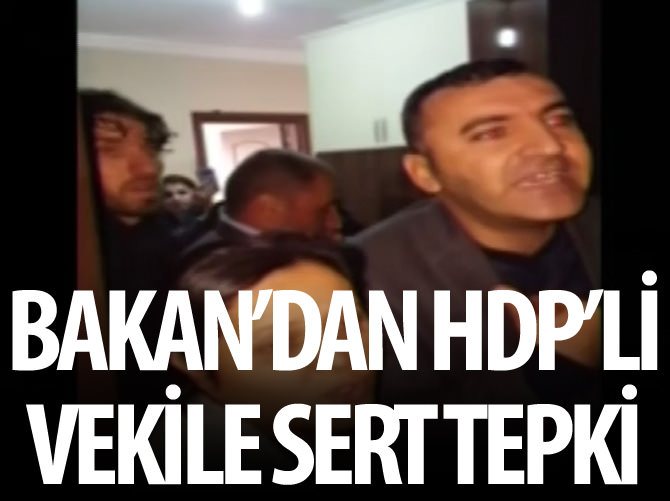 HDP'li vekile Bakan Ala'dan sert tepki