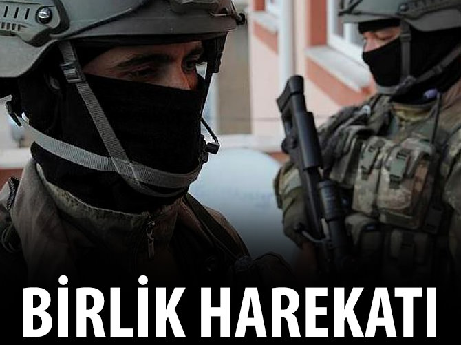 Birlik harekatı