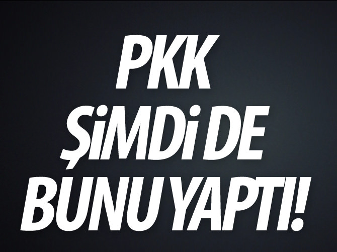 İdil'de PKK'lılar ambulans kaçırdı