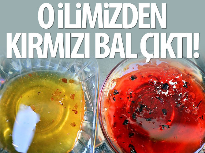 Kovandan "kırmızı bal" çıktı
