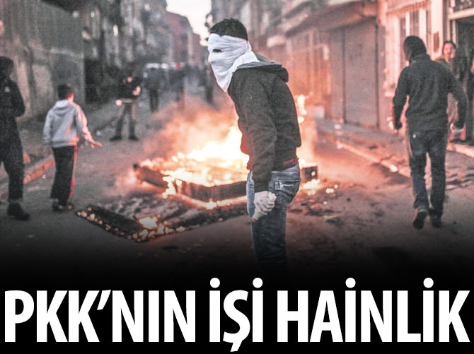 Hainlik işi