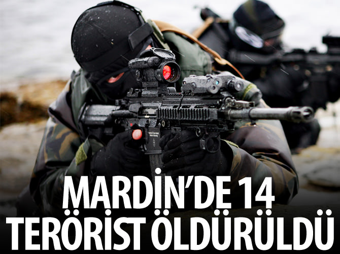 Dargeçit ve Nusaybin'de 14 terörist etkisiz hale getirildi