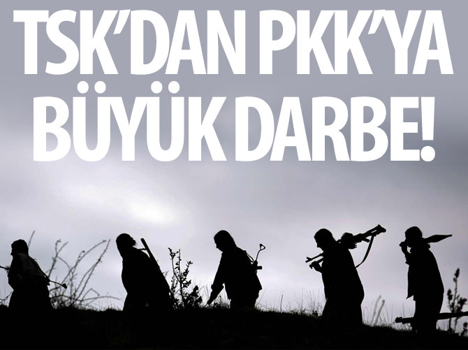 PKK'ya ağır darbe
