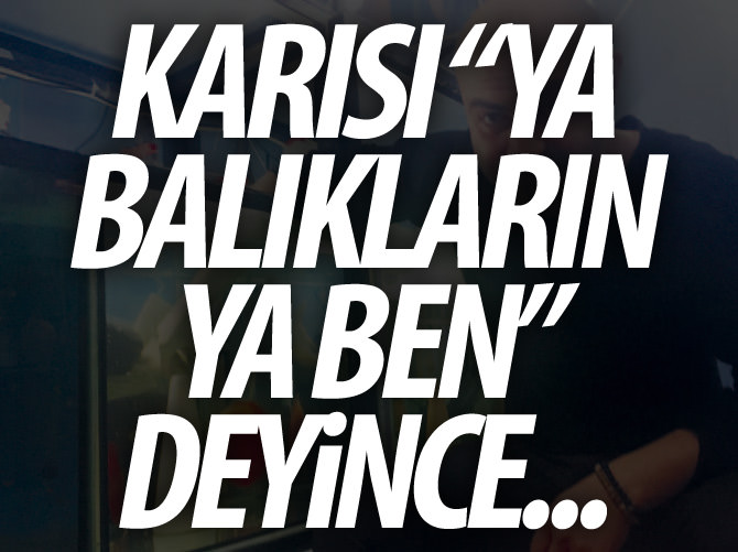 Balıkları için ayrı ev kiraladı