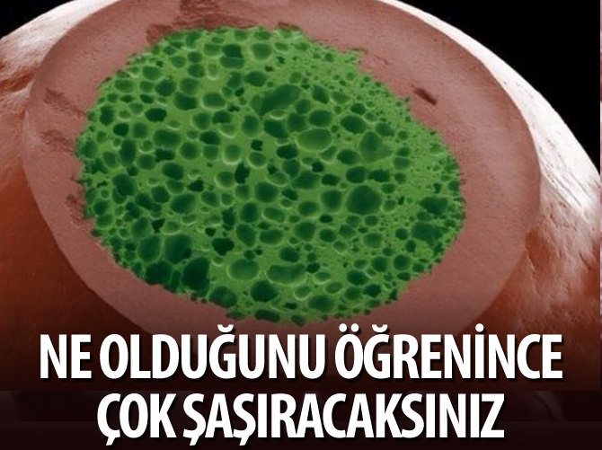 Ne olduğunu öğrenince çok şaşıracaksınız