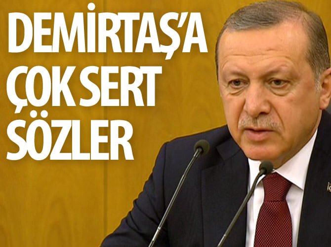 Erdoğan'dan Demirtaş'a çok sert sözler