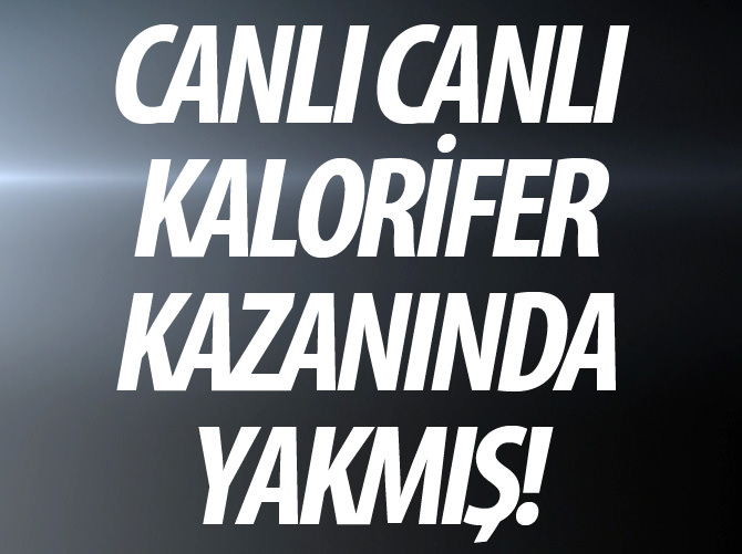 Cani kapıcıyı Yargıtay affetmedi