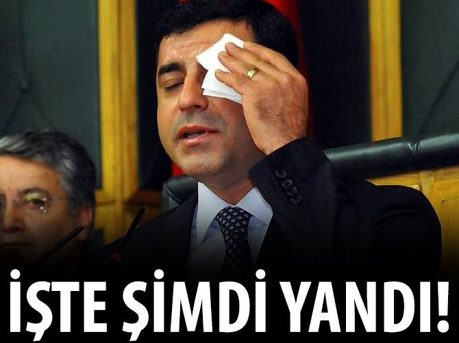 Hendekçi başkanın yerine kayyum
