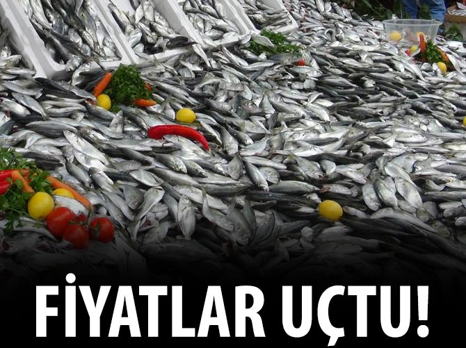 Balık fiyatları uçtu