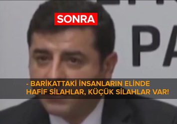 İşte Demirtaş'ın "hafif" dediği silahlar