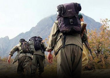 Bitlis'te PKK'ya operasyon!