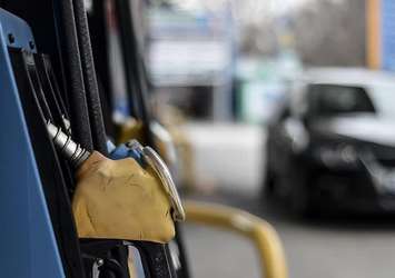Motorinde indirim