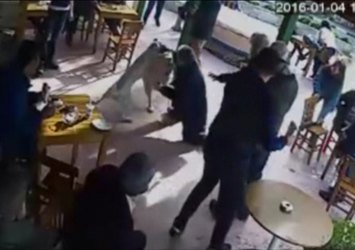Sokak köpeklerinin saldırı anı güvenlik kamerasında