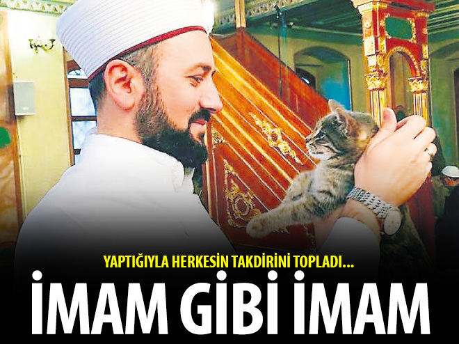 Gönüllerin EFEndisi