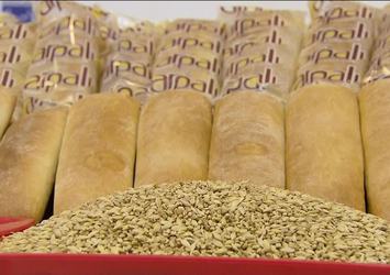 Domuz gribini engelleyen ekmek!