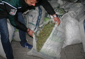 Evinde 264 kilo esrar çıktı 'yolda buldum' dedi