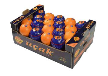 Rusya'ya 'uçak' logolu limon krizi