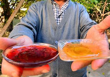 Osmaniye'deki 'kırmızı bal'ın sırrı Arap sümbülü poleni