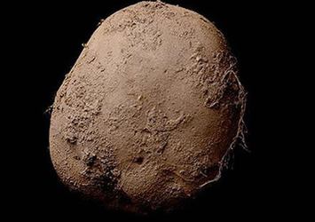 Bu patates 1 milyon dolar!