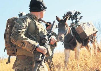 TSK'dan PKK ile mücadelede katır kullanacak