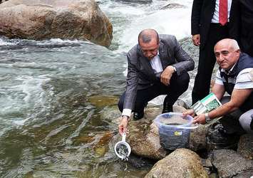 Cumhurbaşkanı Erdoğan'ın kaleminden Rize