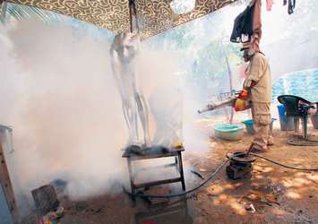 Zika virüsüyle ilgili korkutucu bir gerçek ortaya çıktı