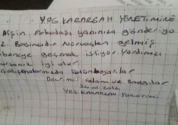 Diyarbakır’da yakalanan Norveçli'den bu not çıktı!