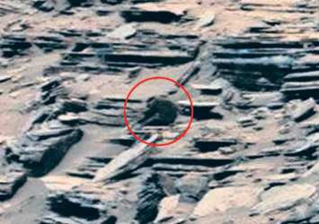 Mars'ta maymun iddiası