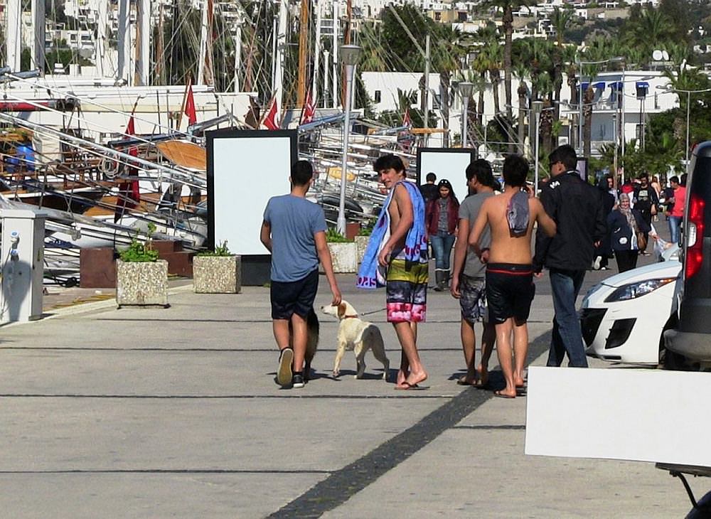 Bodrum'da şubat ayında deniz keyfi - 1